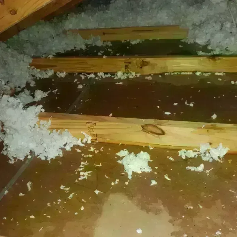 Best Attic Water Damage Service in Pittston, PA